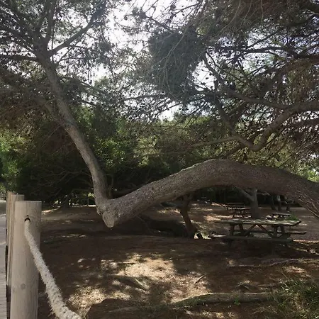 شقة El Descanso