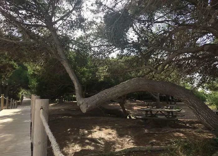 Lägenhet El Descanso